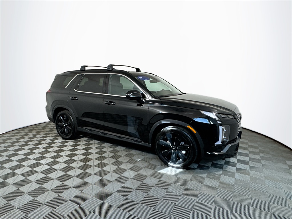 2025 Hyundai Palisade XRT photo 4
