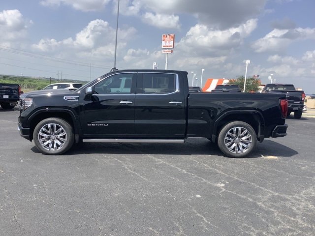 2025 Gmc Sierra 1500 Denali photo 4