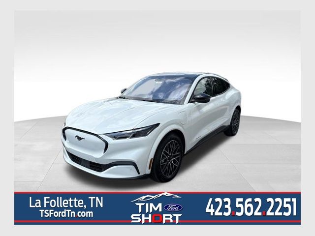 2025 Ford Mustang Mach-E Premium AWD's photo