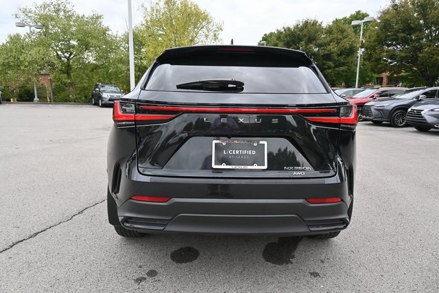 2024 Lexus NX 350h Luxury photo 4