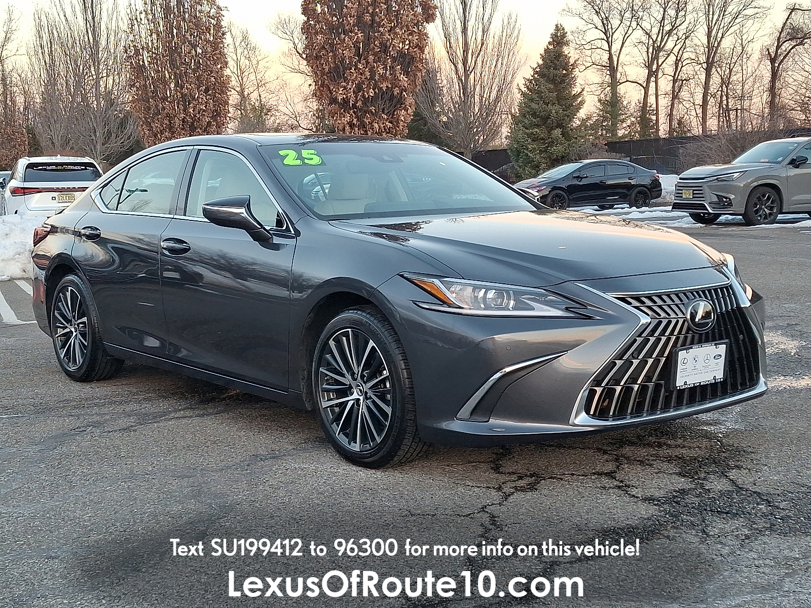 2025 Lexus ES 350's photo