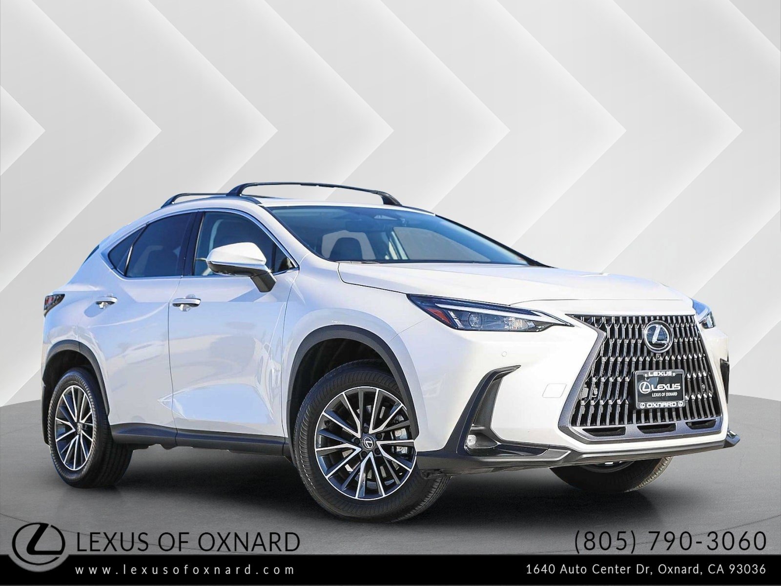 2025 Lexus NX Hybrid 350h's photo