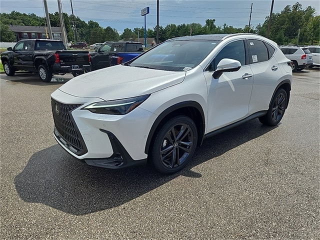 2025 Lexus NX Luxury AWD photo 6