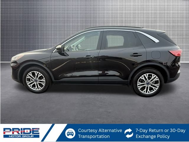2022 Ford Escape SEL photo 2