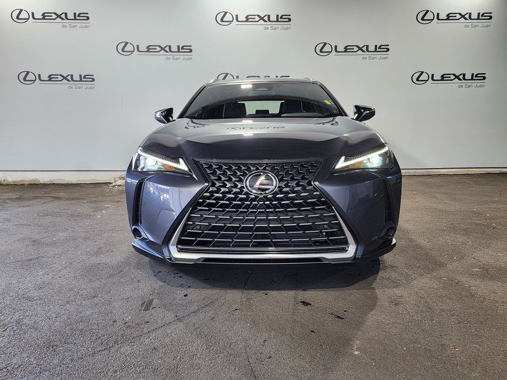 2025 Lexus UX photo 5