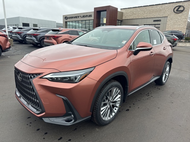 2026 Lexus NX 350's photo