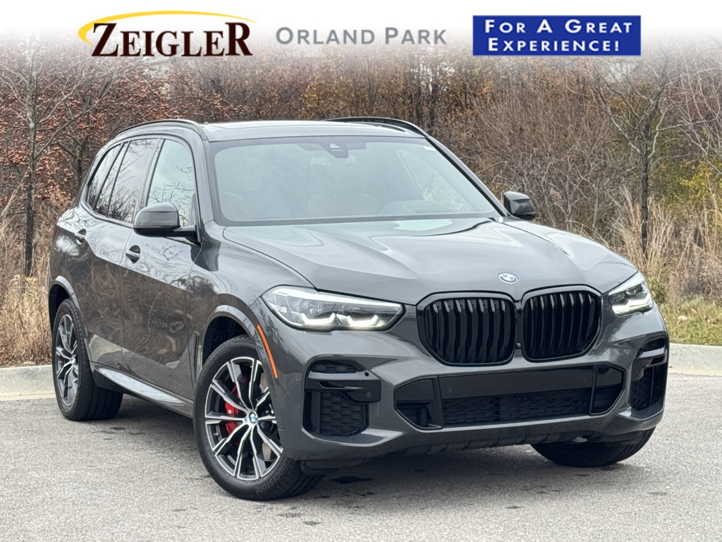 2023 BMW X5 M50i's photo