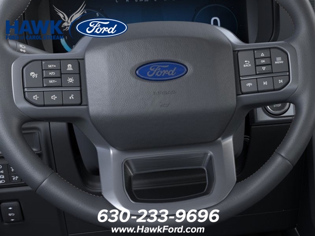 2025 FORD F-150 - Image 12