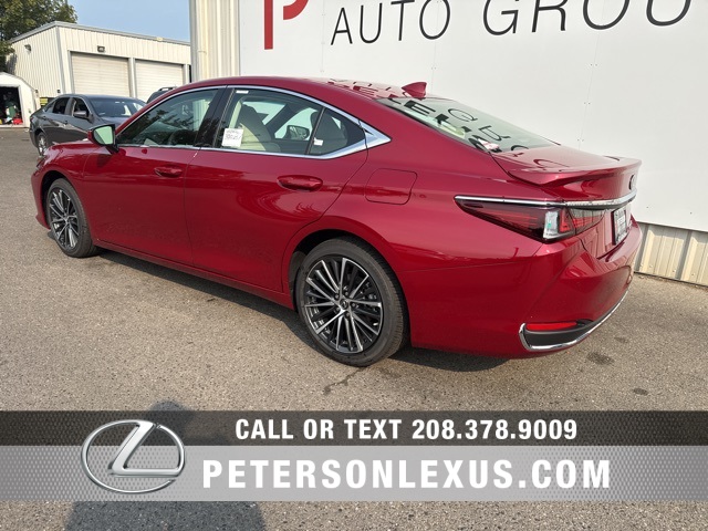 2025 Lexus ES 300h photo 6