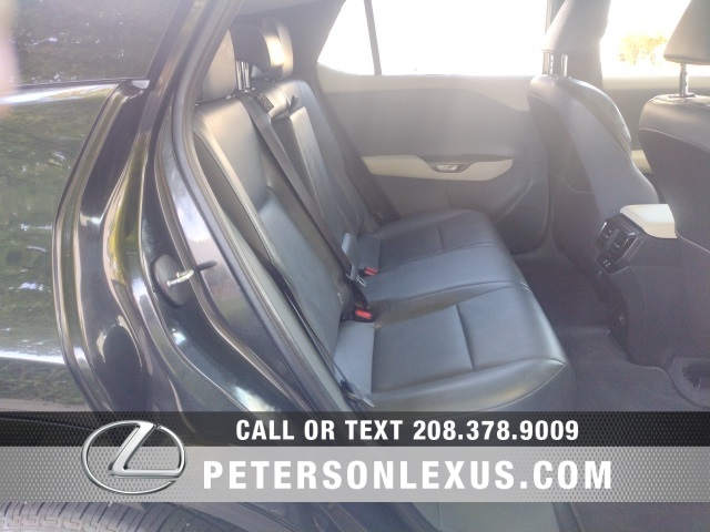 2023 Lexus RZ 450e Premium photo 13