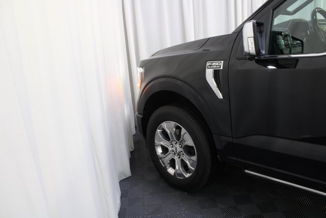 2021 Ford F-150 Platinum photo 22