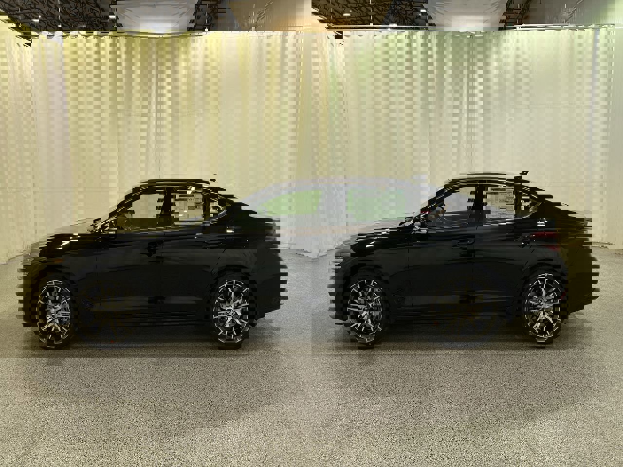 New 2026 Vik Black Genesis 2.5T Standard image 6