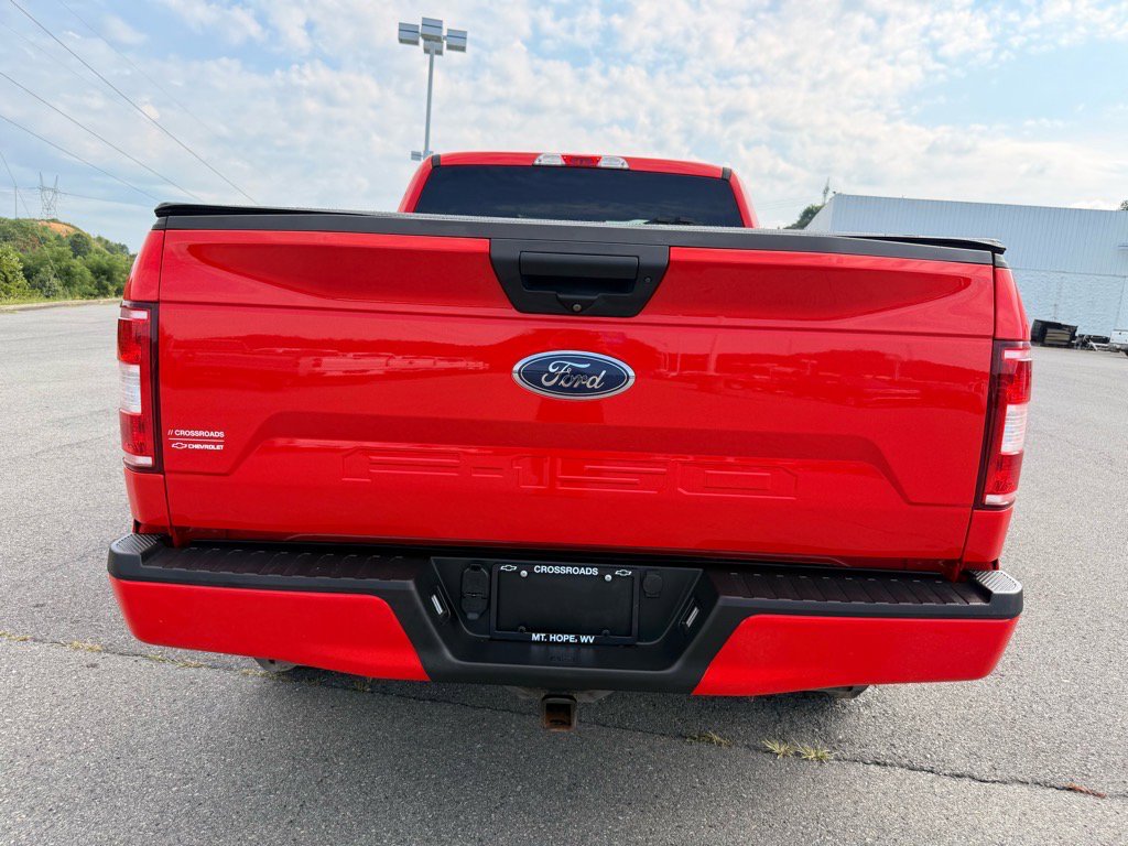 2019 Ford F-150 XL photo 4