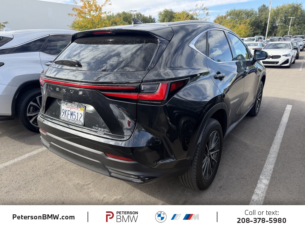 2024 Lexus NX 350h photo 3