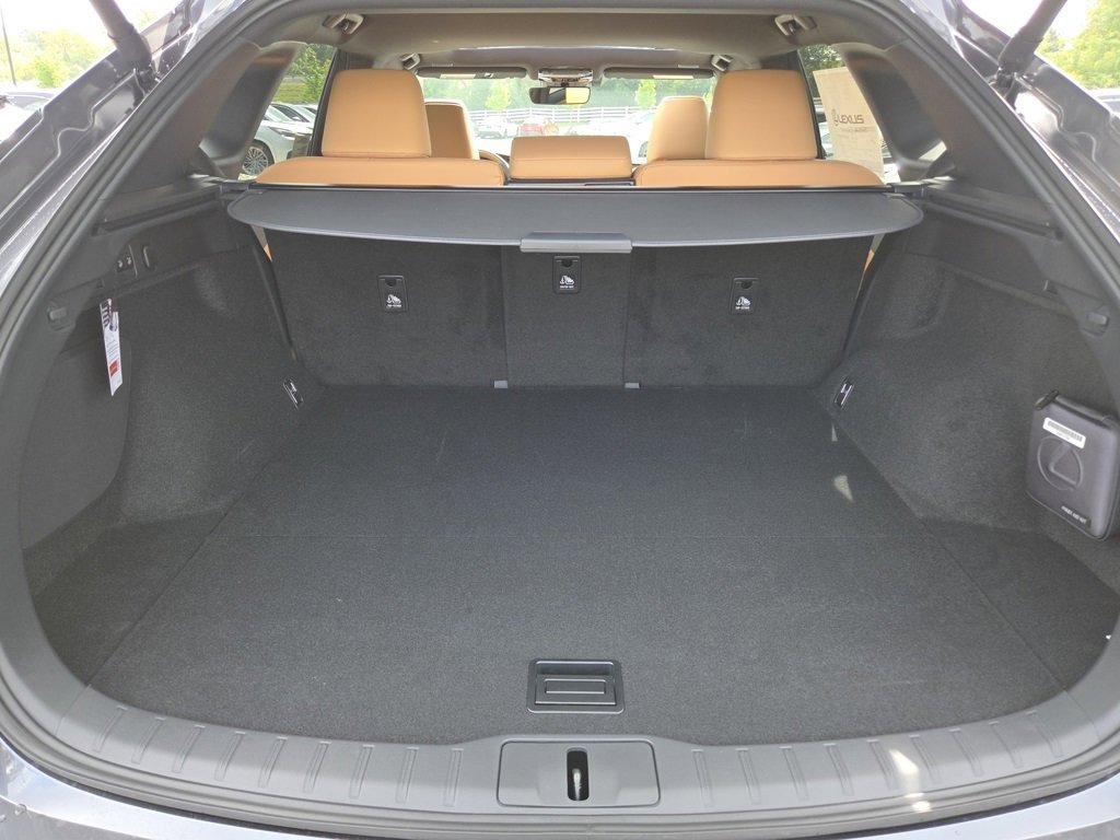 2025 Lexus RX 350 Premium photo 24