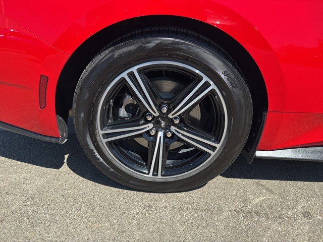 2024 Ford Mustang EcoBoost Premium photo 9