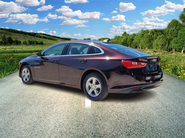 2020 Chevrolet Malibu LS photo 2