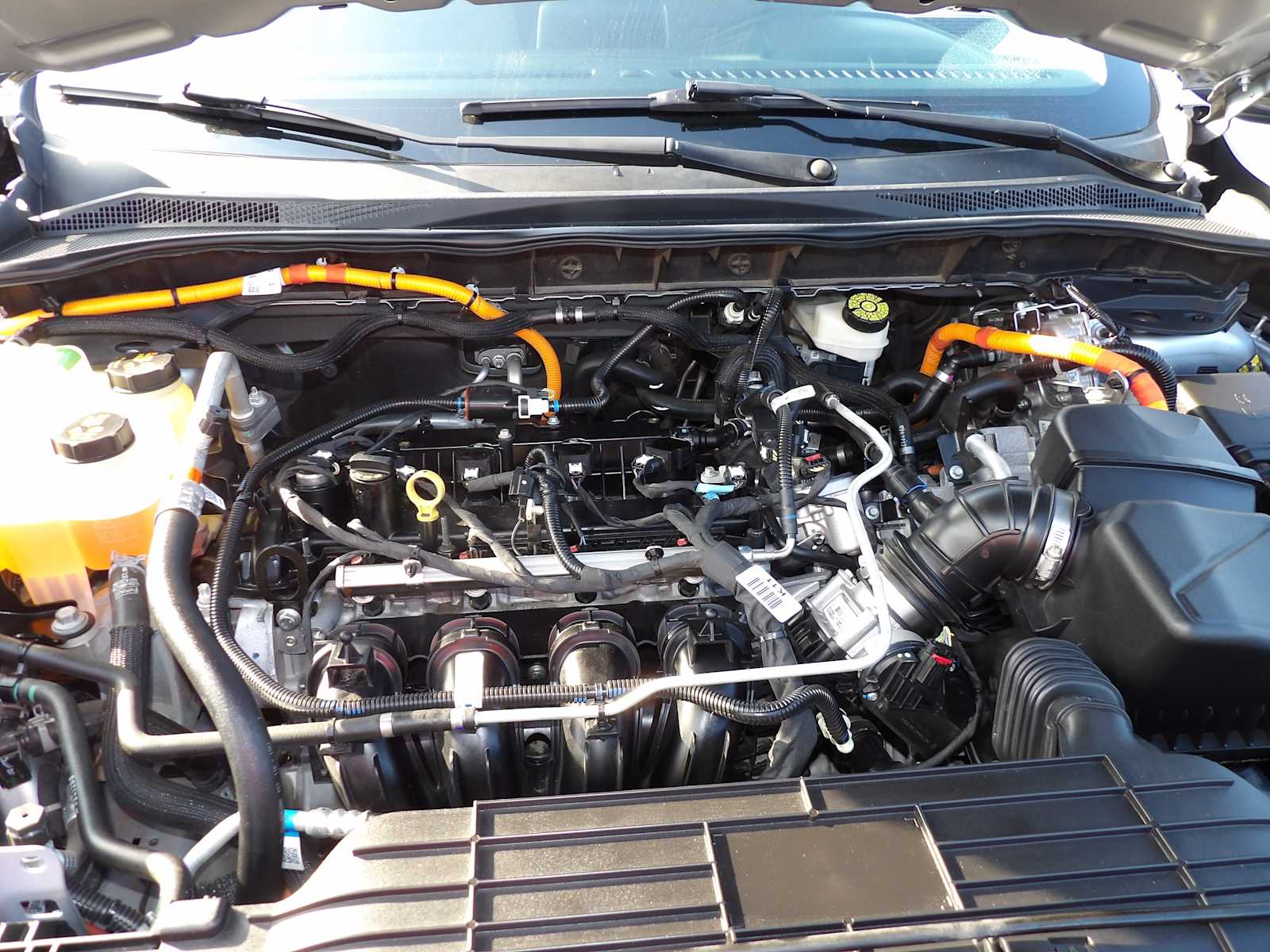 2021 Ford Escape SE Hybrid photo 21