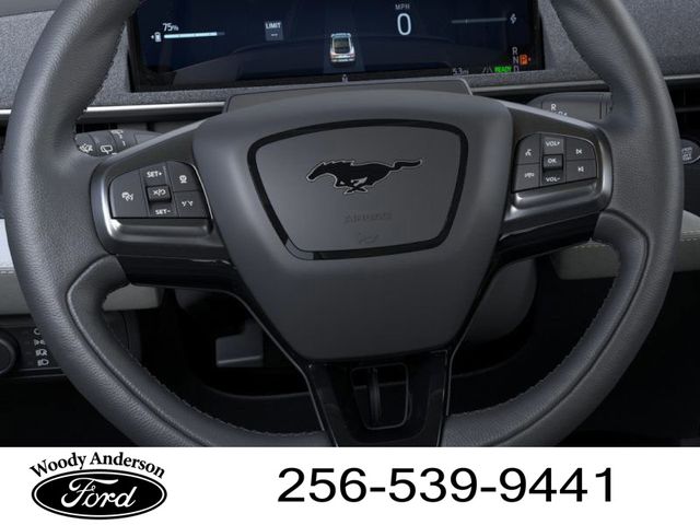 2025 Ford Mustang Mach-E Premium photo 8
