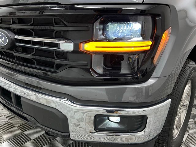 2024 Ford F-150 XLT photo 4