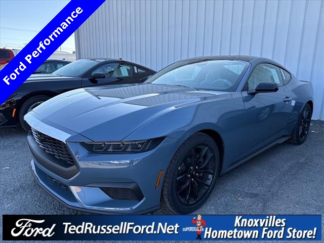 2026 Ford Mustang EcoBoost's photo