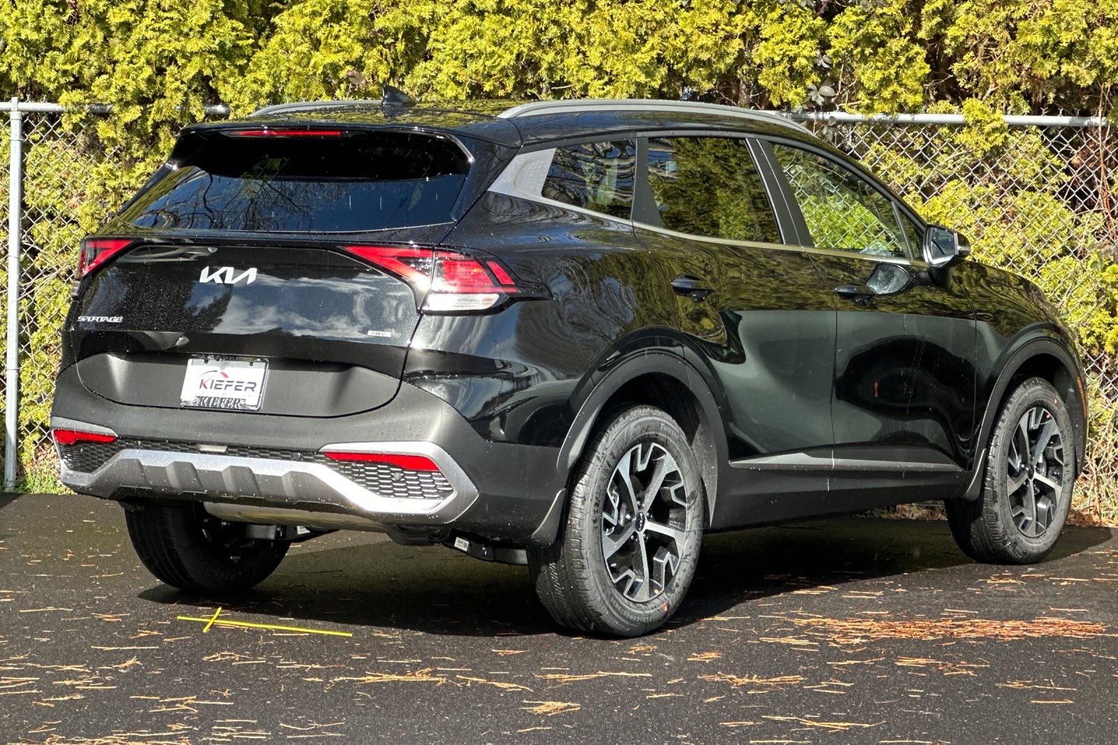 2025 Kia Sportage EX photo 3