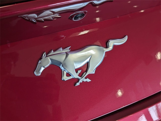 2025 Ford Mustang EcoBoost Premium Convertible photo 12