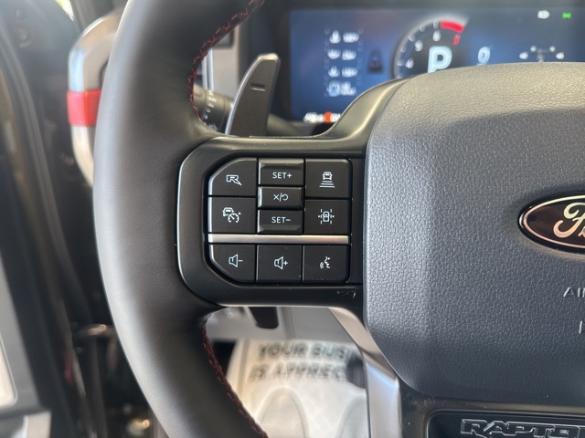 2025 Ford F-150 Raptor photo 22