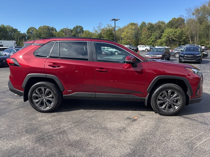 2024 Toyota RAV4 Hybrid XLE Premium photo 2