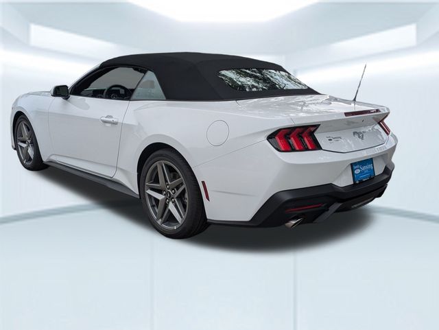 2025 Ford Mustang EcoBoost Convertible photo 5