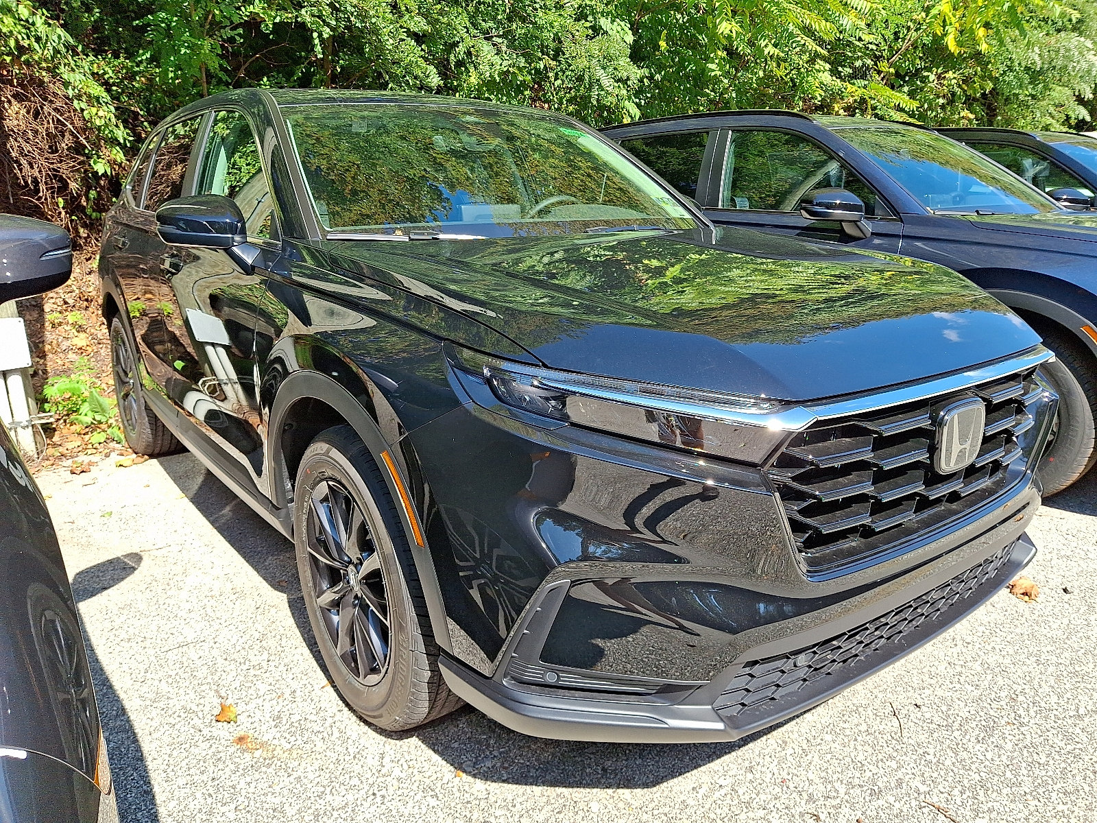 2026 Honda CR-V EX-L photo 2