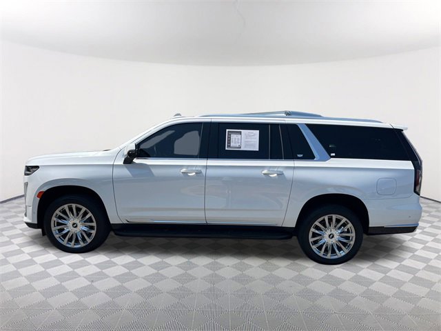 2024 Cadillac Escalade ESV Premium Luxury photo 8