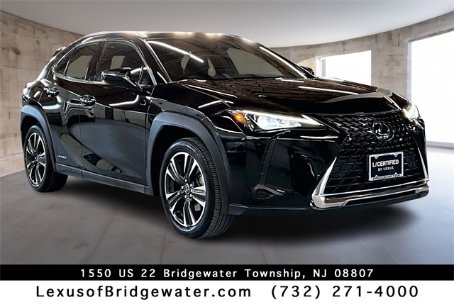 2020 Lexus UX Hybrid 250h's photo