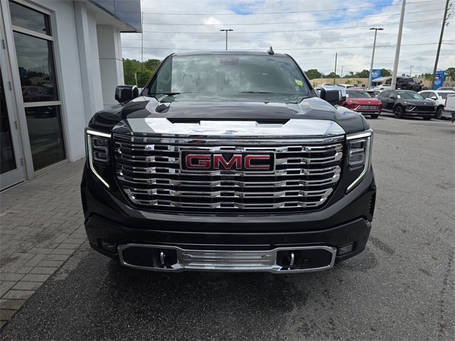 2025 Gmc Sierra 1500 Denali photo 2