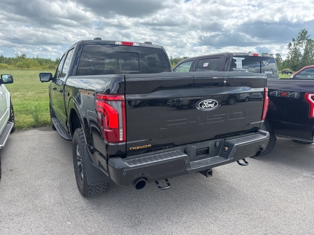 2024 Ford F-150 Tremor photo 10