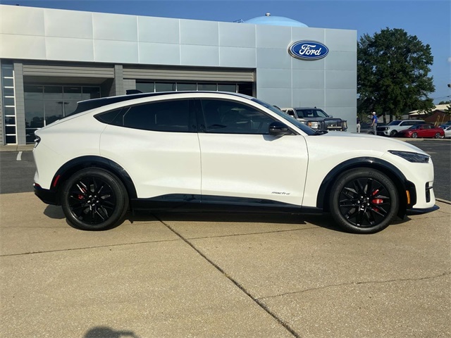 2025 Ford Mustang Mach-E Premium photo 2