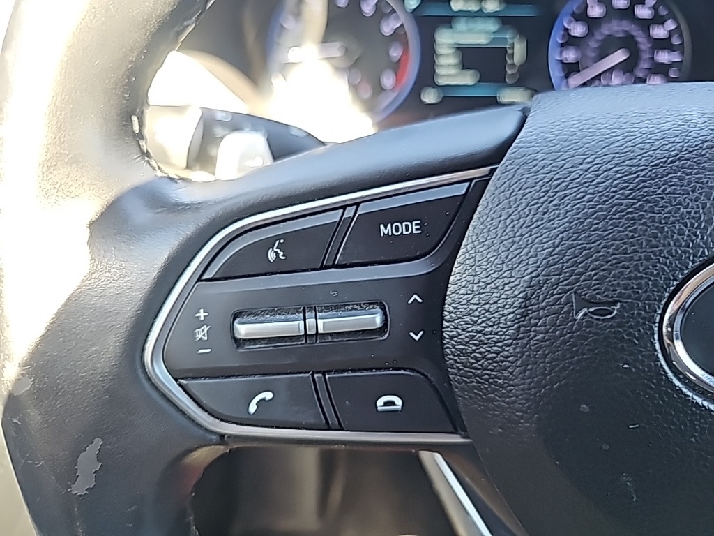 2021 Hyundai Palisade SEL photo 4