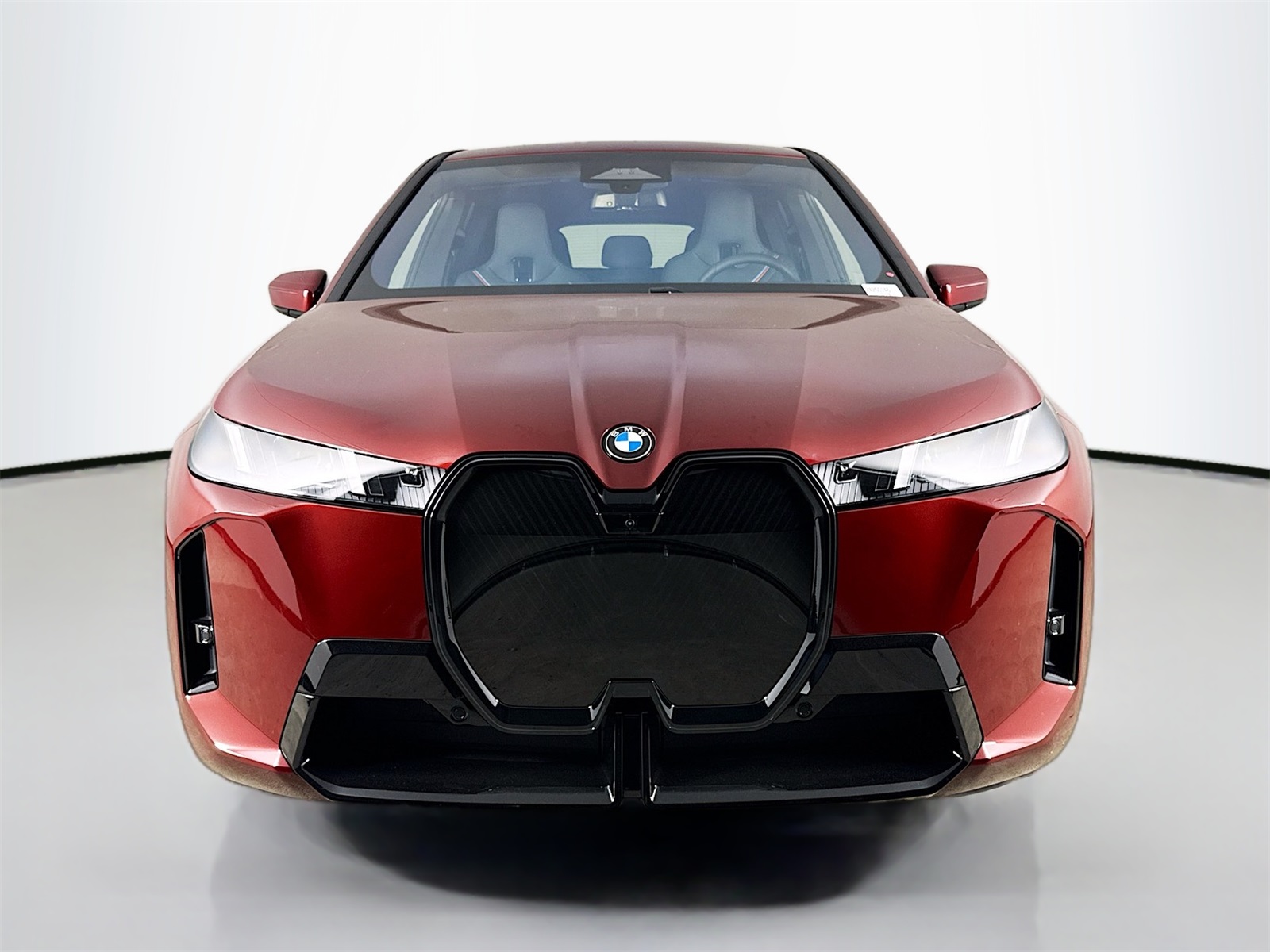 2026 Bmw iX photo 2