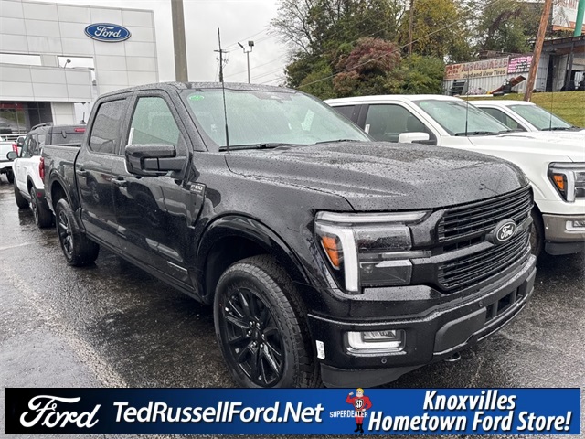 2025 Ford F-150 Platinum photo 3