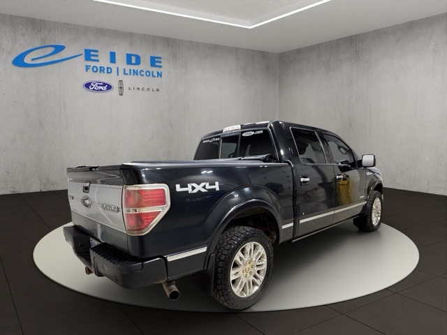 2014 Ford F-150 Platinum photo 3