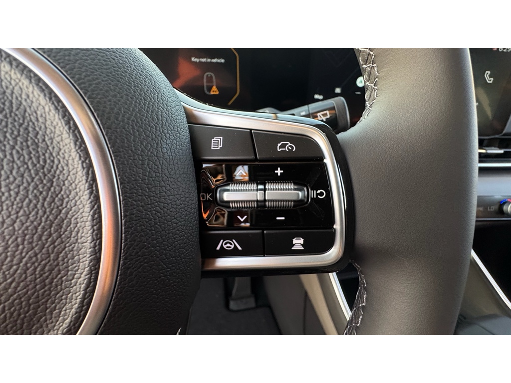 2026 Kia Carnival SX Prestige photo 10