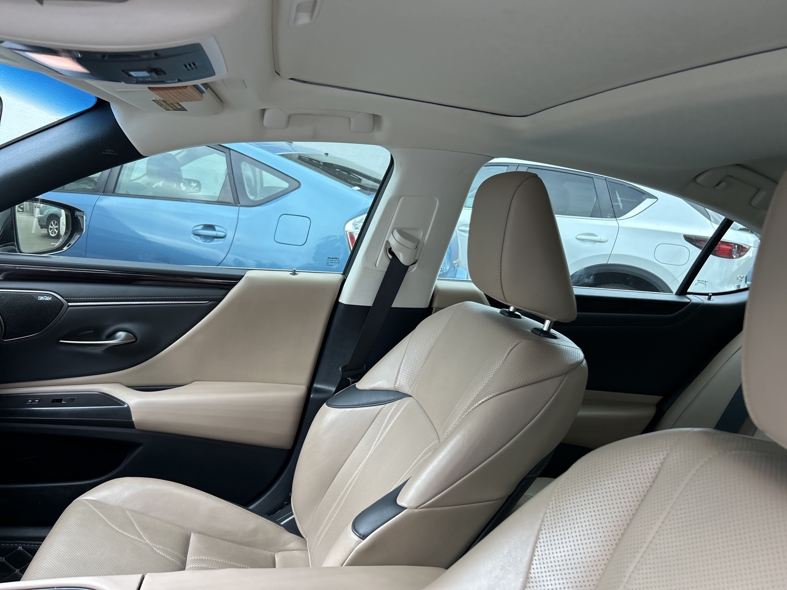2021 Lexus ES 300h Luxury photo 8
