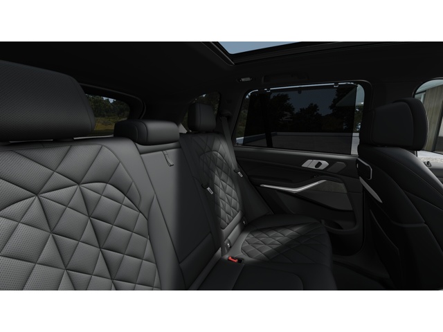 2026 Bmw X5 xDrive50e M photo 10