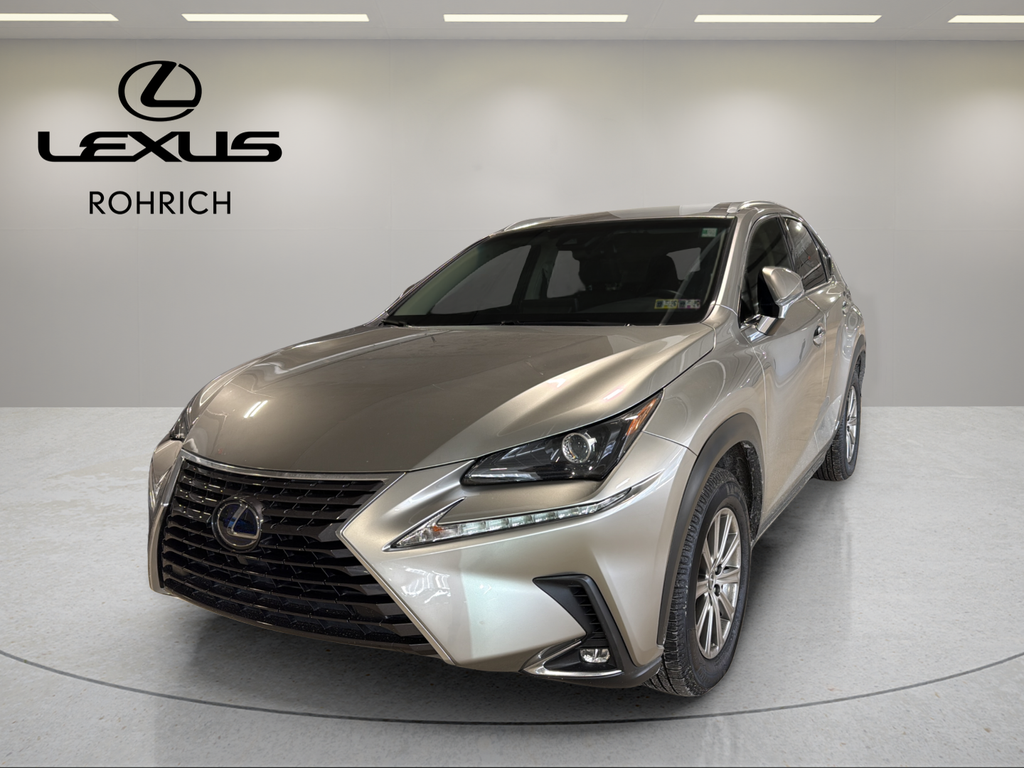 2019 Lexus NX Hybrid 300h's photo