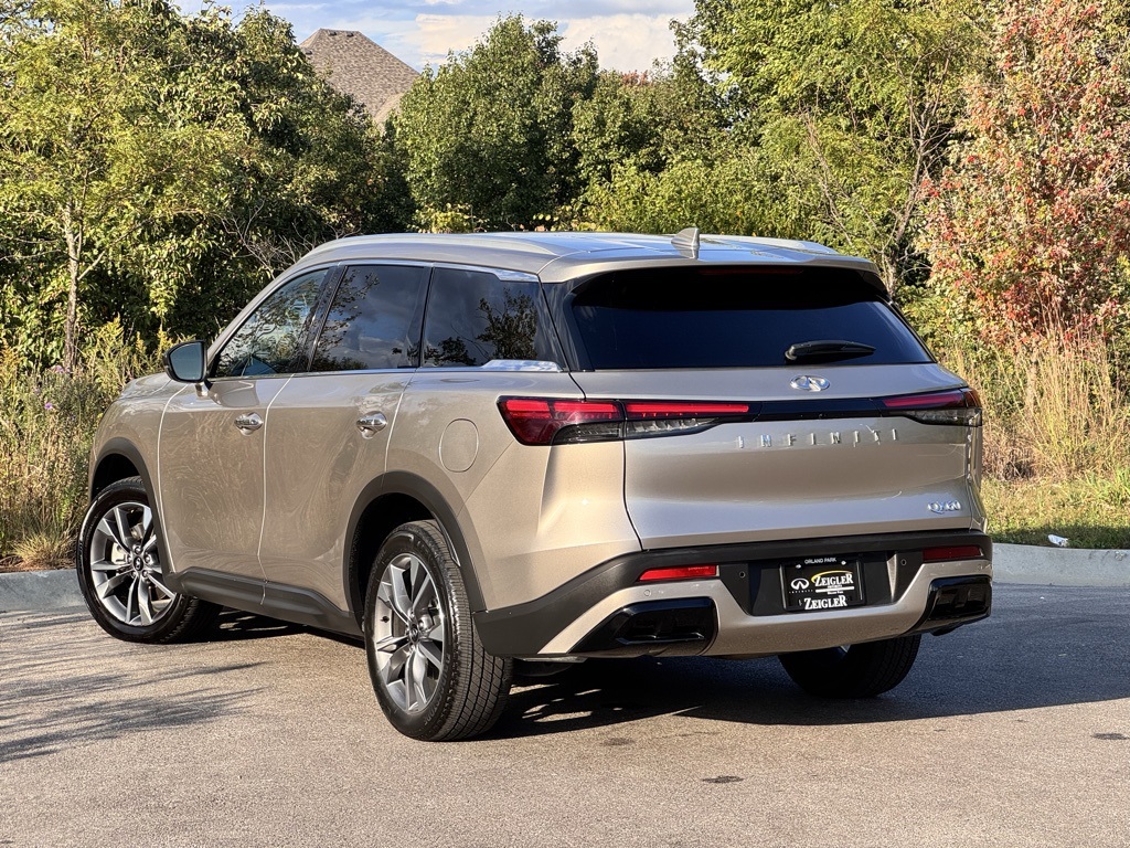 2024 Infiniti QX60 Luxe photo 2