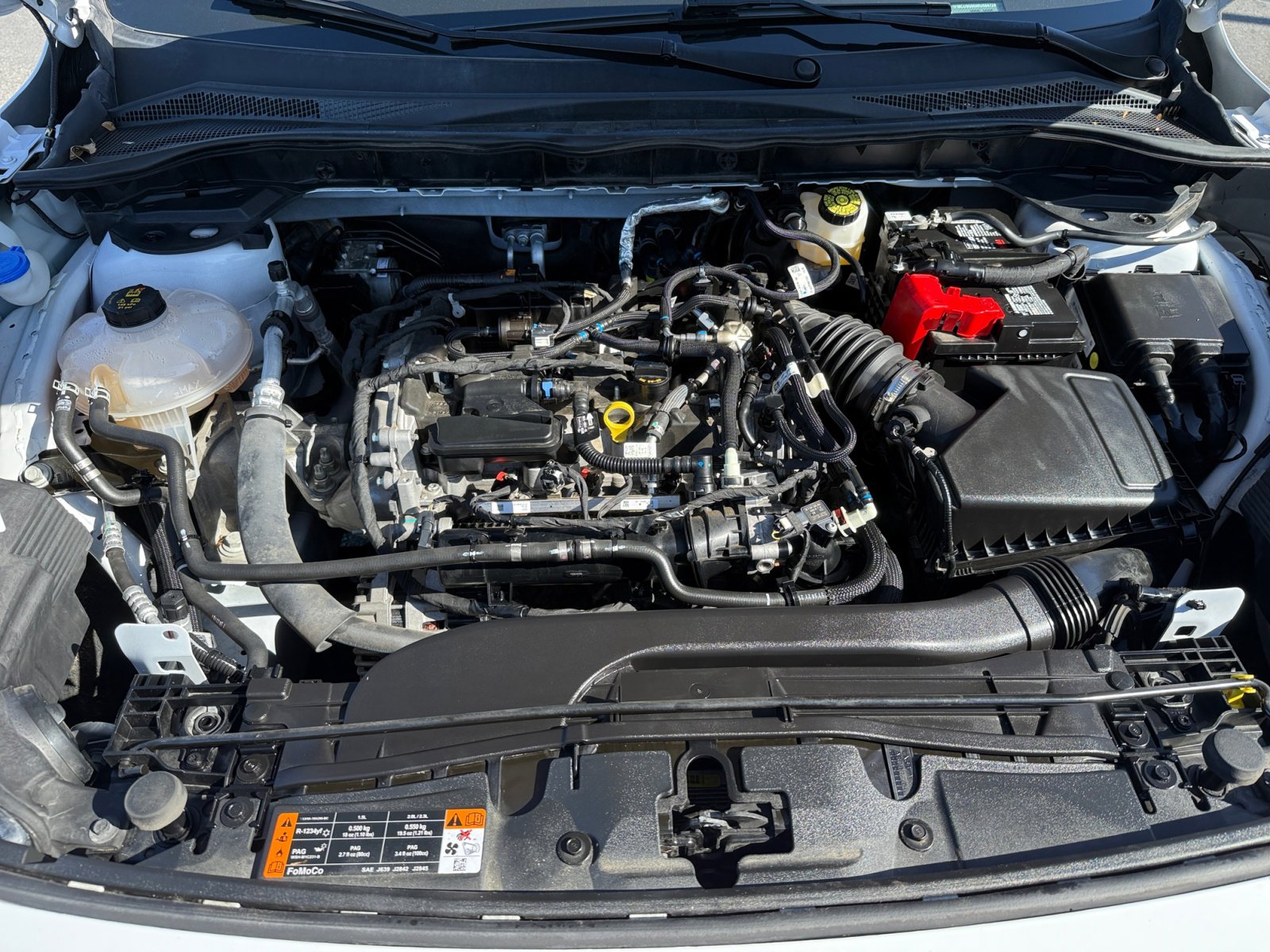 2021 Ford Escape SE photo 20