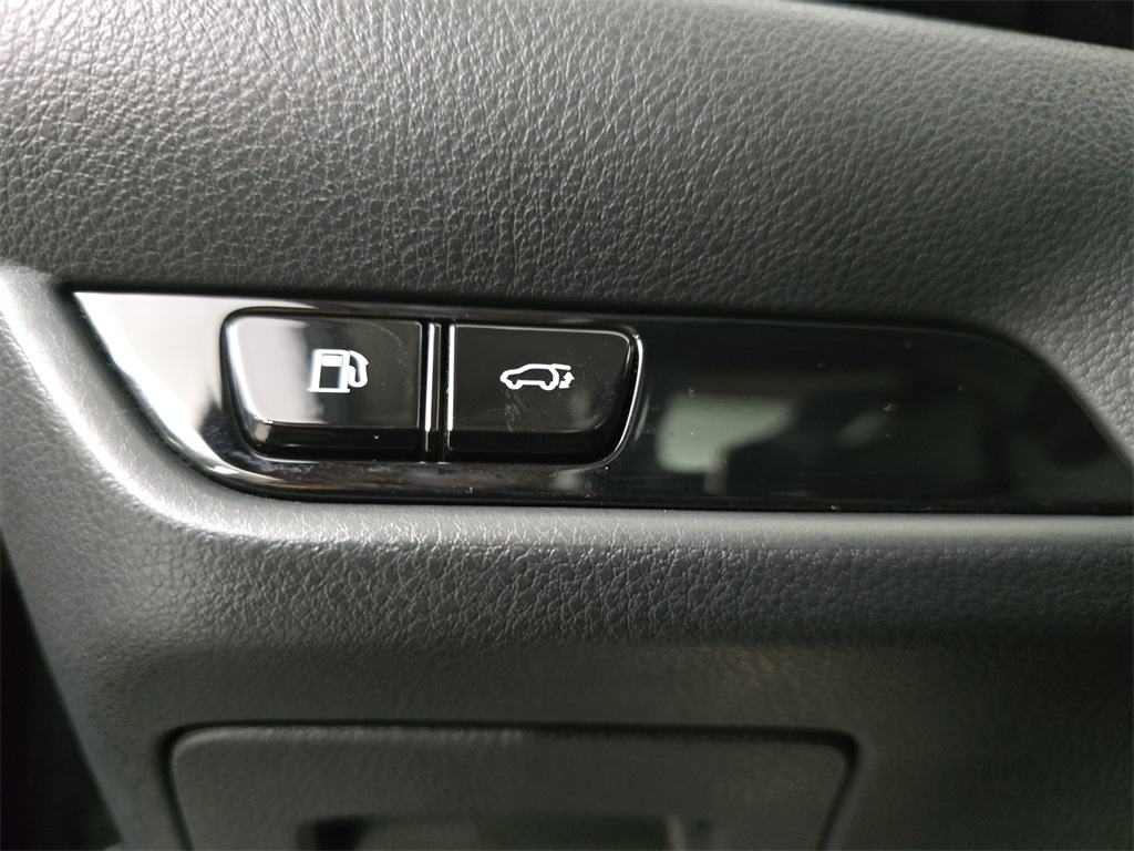 2024 Lexus NX 350h photo 24