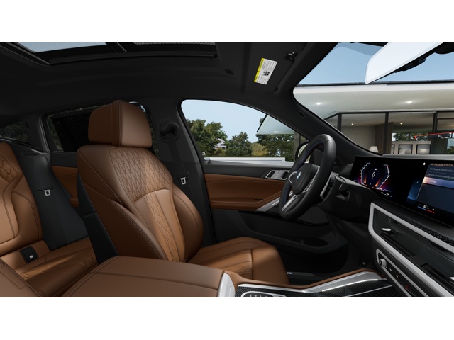 2026 Bmw X6 photo 9