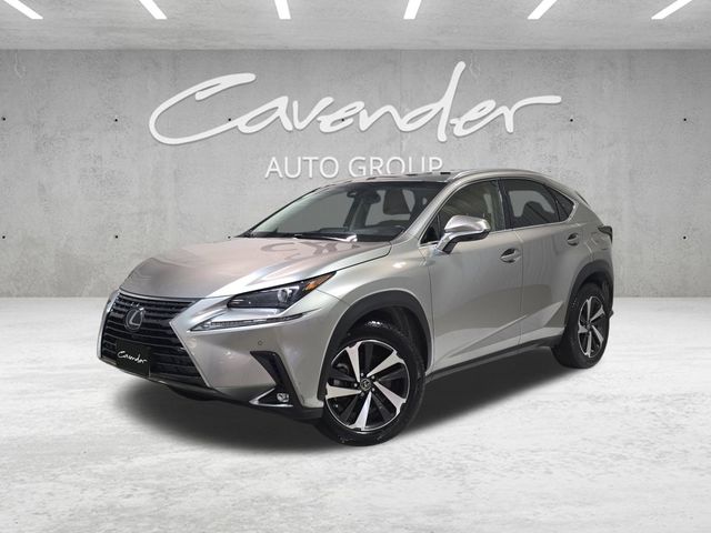2019 Lexus NX 300's photo