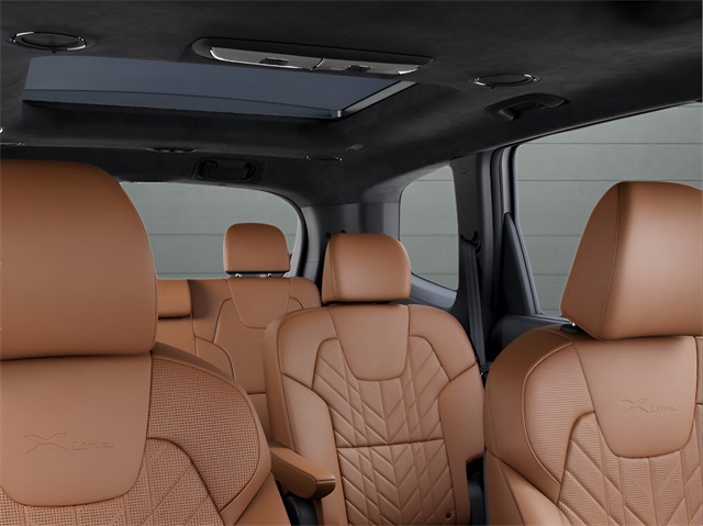 2025 Kia Telluride X-Line photo 21